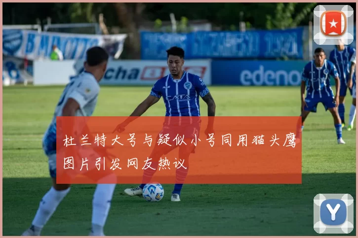 杜兰特大号与疑似小号同用猫头鹰图片引发网友热议