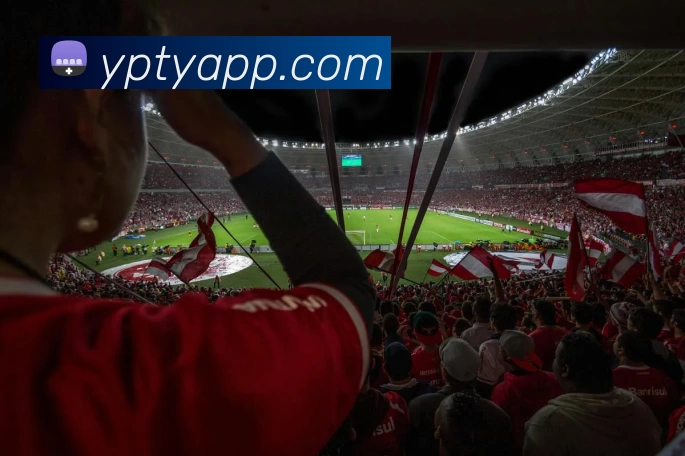 多媒体互动体验