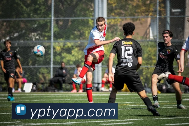 易倍体育APPAPP 高清赛事图